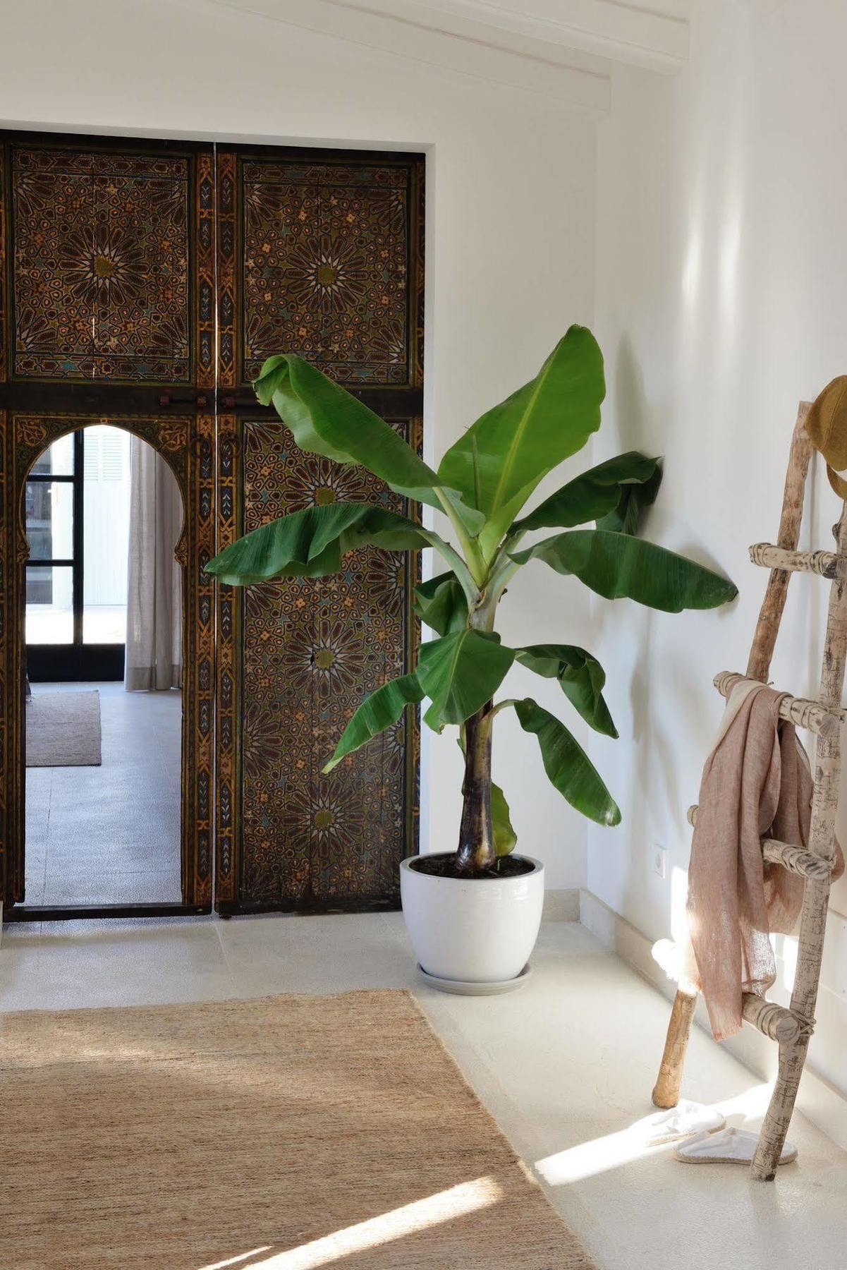מלון סנטני Cal Reiet Holistic Retreat מראה חיצוני תמונה